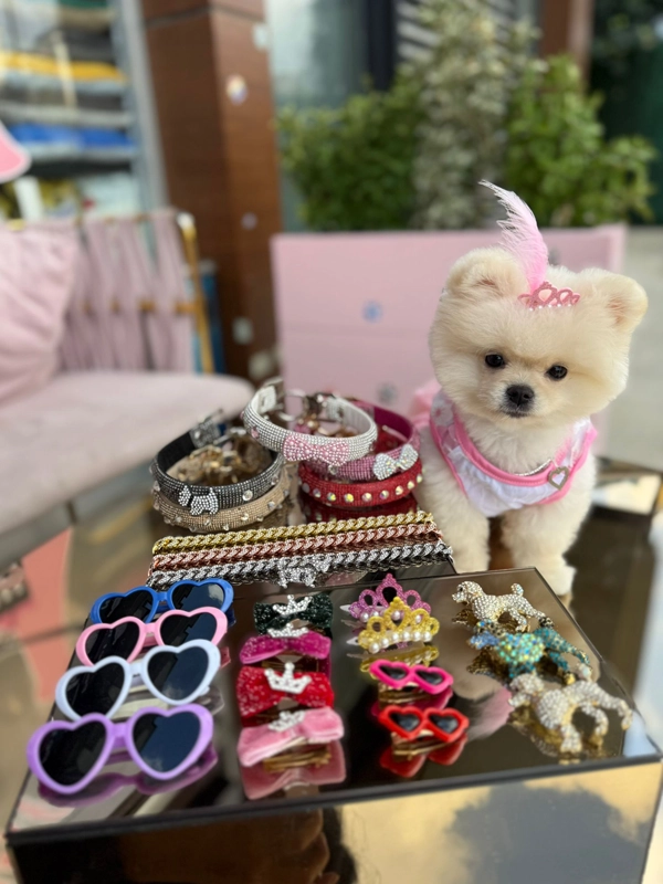 Pink Pouf Pet Kuaför